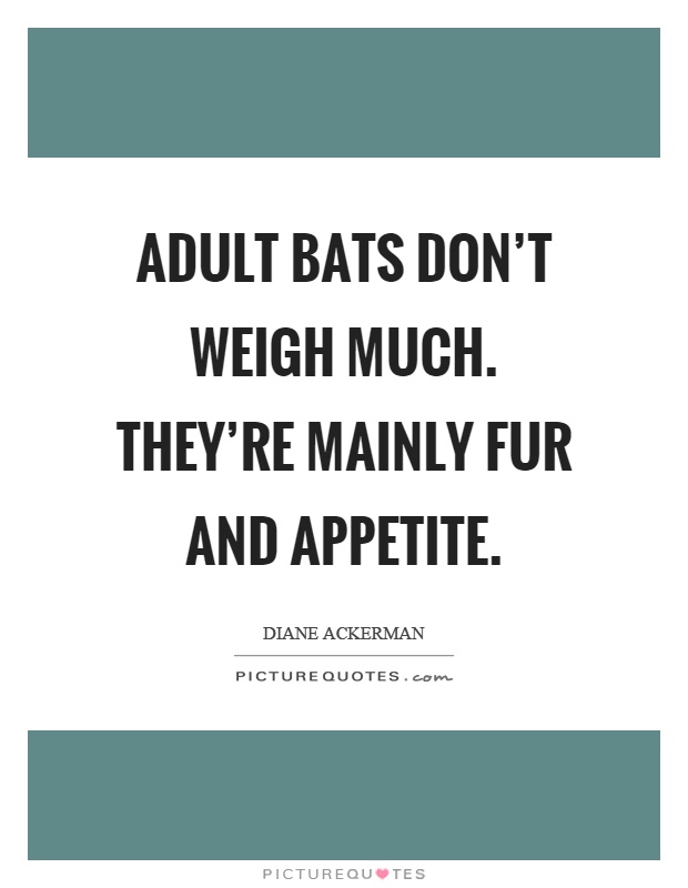 Adult bats don’t weigh much. They’re mainly fur and appetite Picture Quote #1
