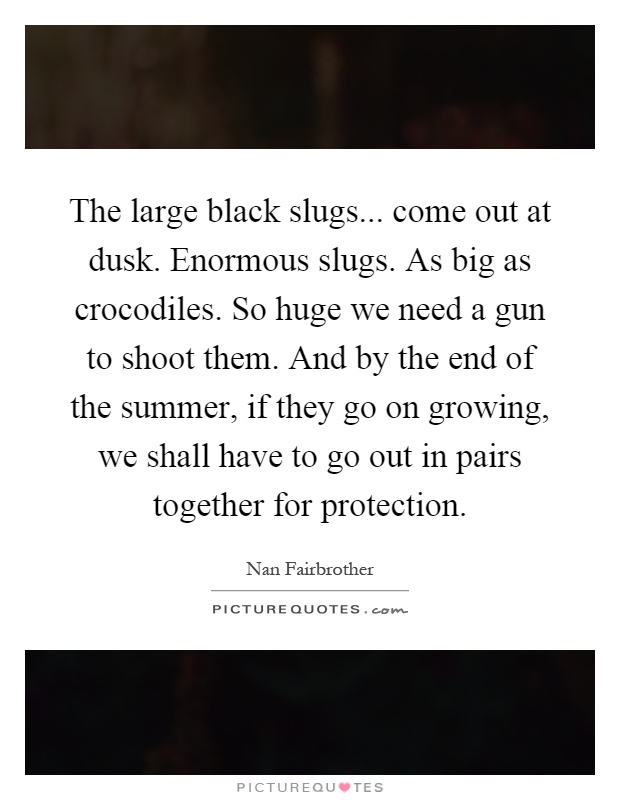 The large black slugs... come out at dusk. Enormous slugs. As big as crocodiles. So huge we need a gun to shoot them. And by the end of the summer, if they go on growing, we shall have to go out in pairs together for protection Picture Quote #1