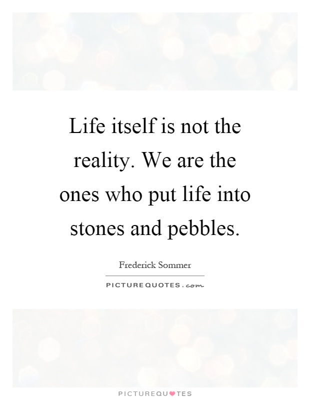 Life itself is not the reality. We are the ones who put life into stones and pebbles Picture Quote #1