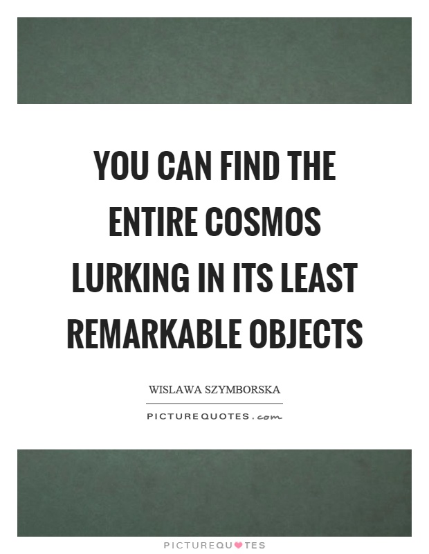 You can find the entire cosmos lurking in its least remarkable objects Picture Quote #1