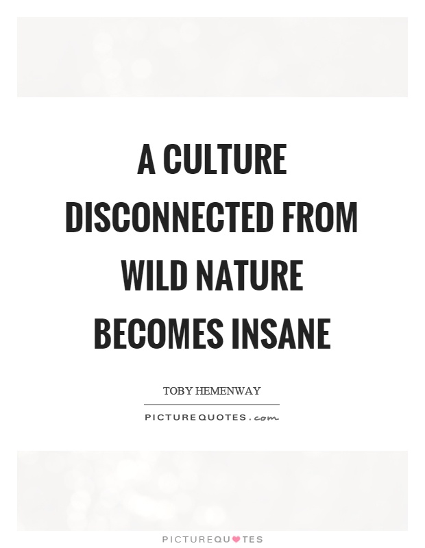 A culture disconnected from wild nature becomes insane Picture Quote #1