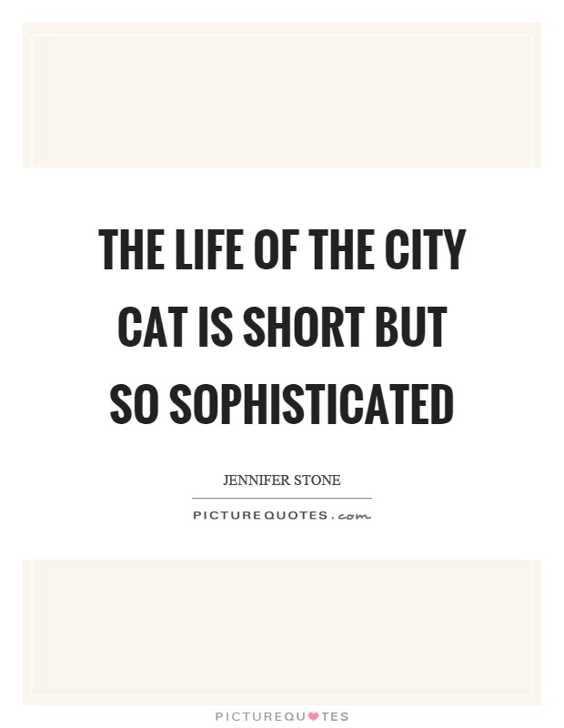 The life of the city cat is short but so sophisticated Picture Quote #1