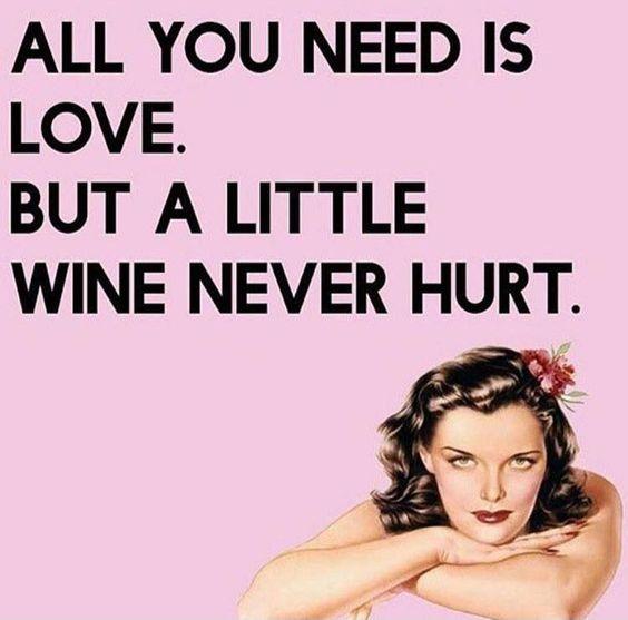 All you need is love. But a little wine never hurt Picture Quote #1