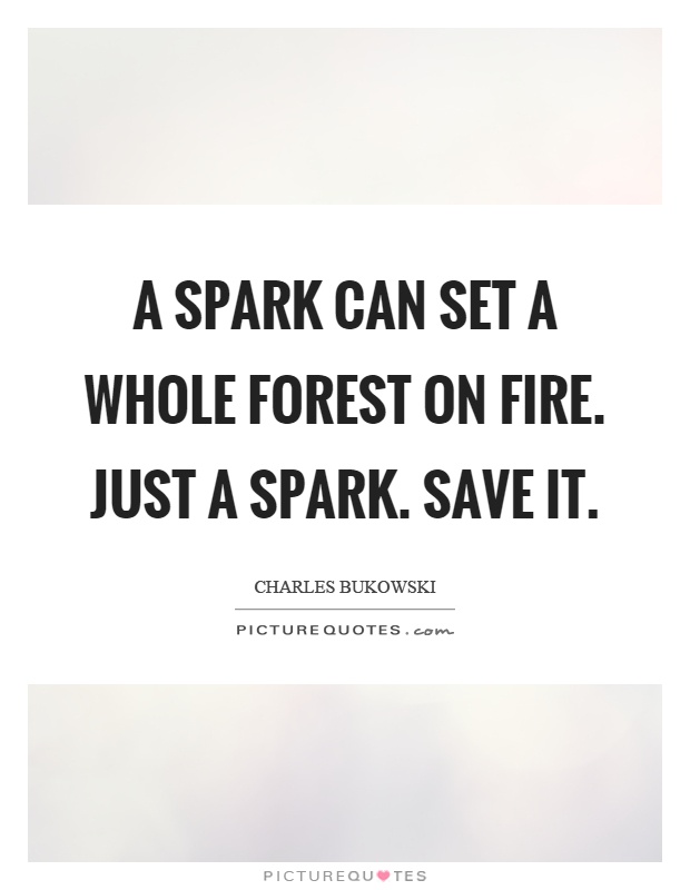 A spark can set a whole forest on fire. Just a spark. Save it Picture Quote #1