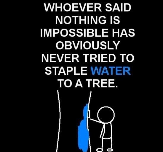 Whoever said nothing is impossible has obviously never tried to staple water to a tree Picture Quote #1