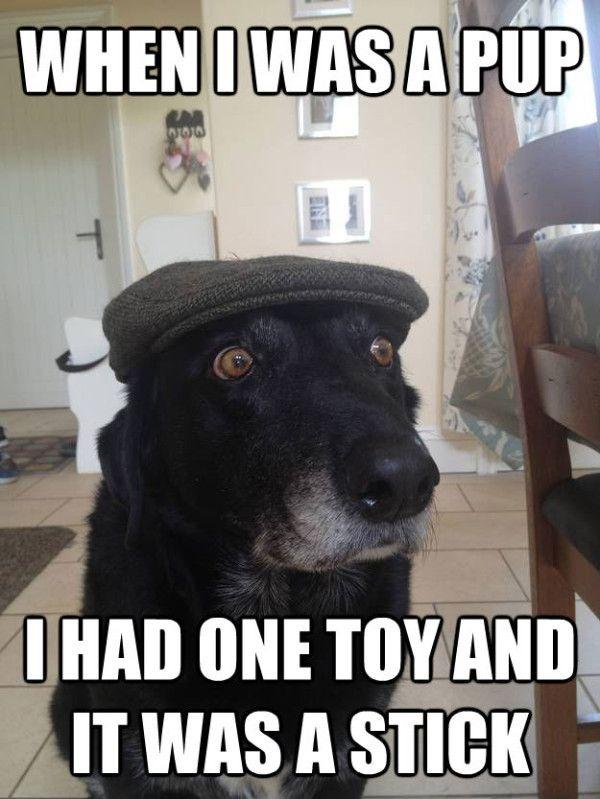 When I was a pup I had one toy and it was a stick Picture Quote #1