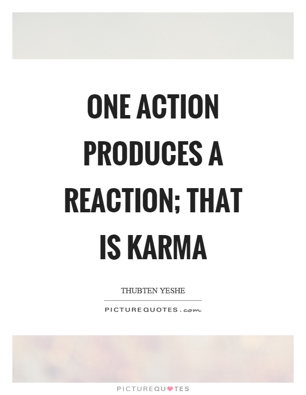 One action produces a reaction; that is karma Picture Quote #1