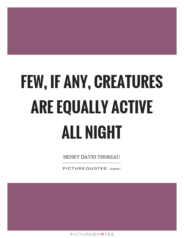 Few, if any, creatures are equally active all night Picture Quote #1