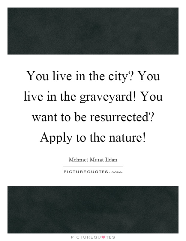 You live in the city? You live in the graveyard! You want to be resurrected? Apply to the nature! Picture Quote #1