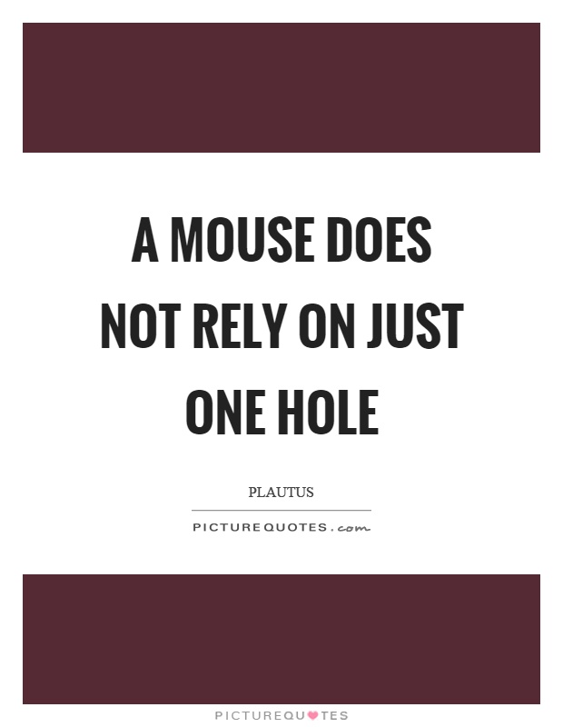 A mouse does not rely on just one hole Picture Quote #1