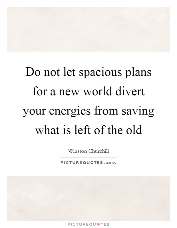 Do not let spacious plans for a new world divert your energies from saving what is left of the old Picture Quote #1