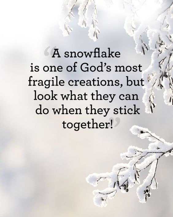 A snowflake is one of God’s most fragile creations, but look what they can do when they stick together Picture Quote #1
