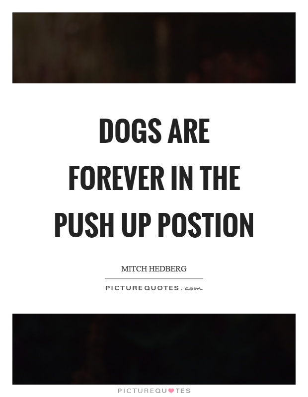 Dogs are forever in the push up postion Picture Quote #1