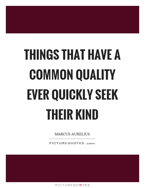 Things that have a common quality ever quickly seek their kind Picture Quote #1
