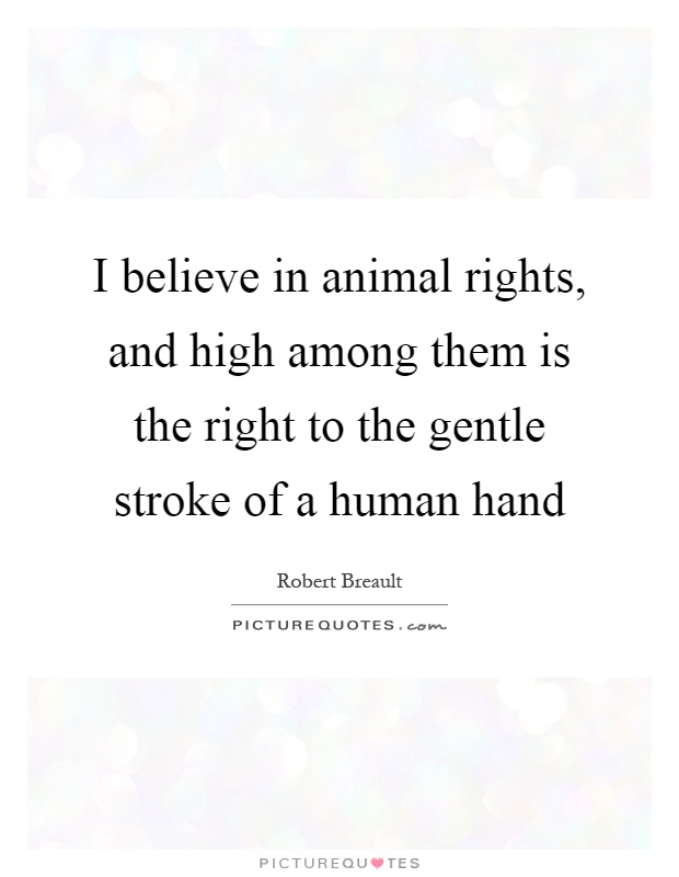 I believe in animal rights, and high among them is the right to the gentle stroke of a human hand Picture Quote #1