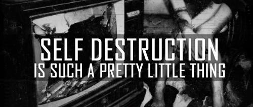 Self destruction is such a pretty little thing Picture Quote #1