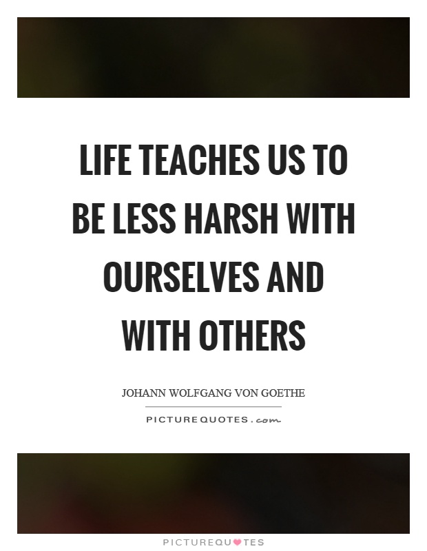 Life teaches us to be less harsh with ourselves and with others Picture Quote #1