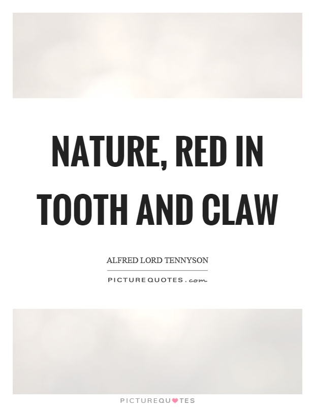 Nature, red in tooth and claw | Picture