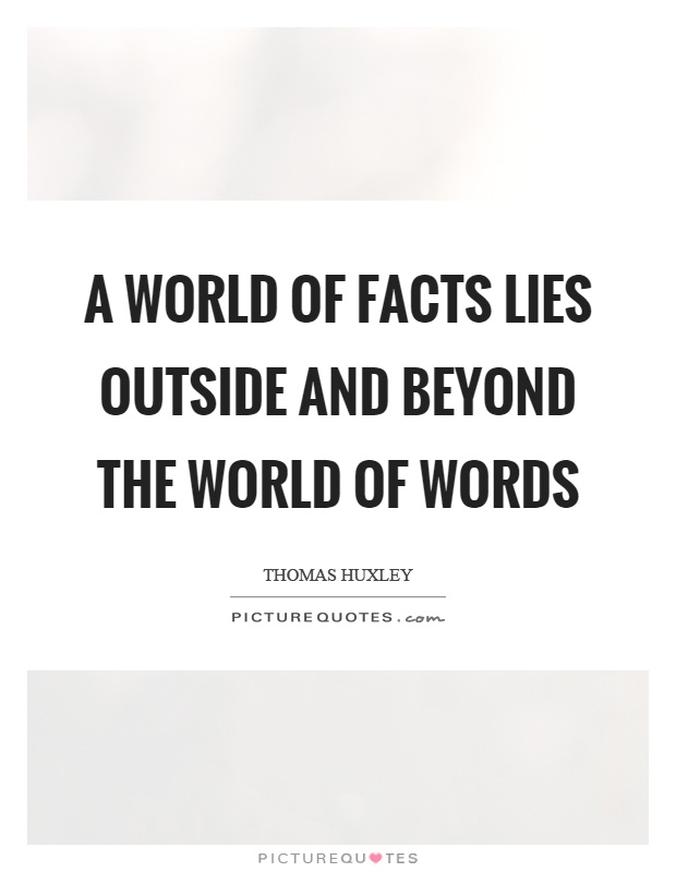 A world of facts lies outside and beyond the world of words Picture Quote #1