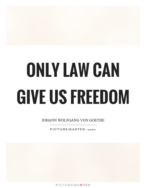 Only law can give us freedom Picture Quote #1