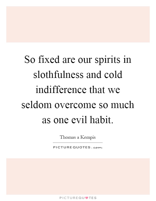 So fixed are our spirits in slothfulness and cold indifference that we seldom overcome so much as one evil habit Picture Quote #1