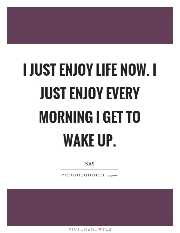 I just enjoy life now. I just enjoy every morning I get to wake up Picture Quote #1