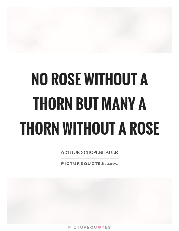 No rose without a thorn but many a thorn without a rose Picture Quote #1