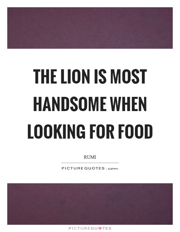 The lion is most handsome when looking for food Picture Quote #1