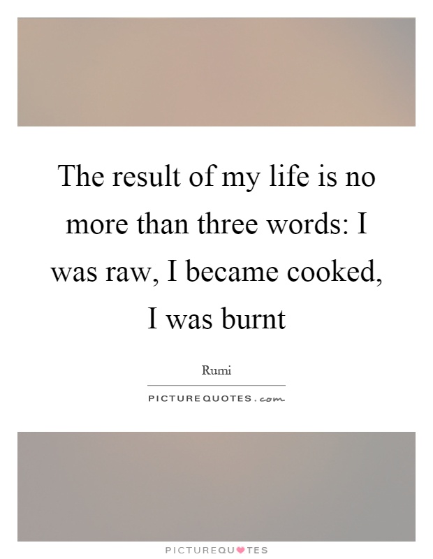 The result of my life is no more than three words: I was raw, I became cooked, I was burnt Picture Quote #1