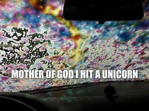 Mother of God, I hit a unicorn Picture Quote #1