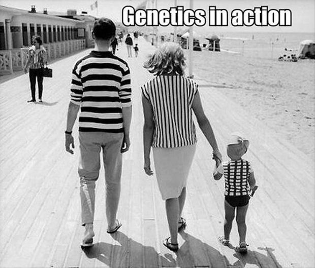 Genetics in action Picture Quote #1
