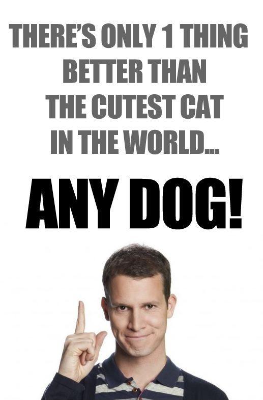 There's only one thing better than the cutest cat in the world Picture Quote #2