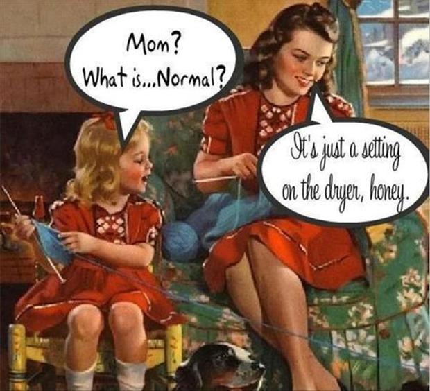 Mom? What is normal? It’s just a setting on the dryer, honey Picture Quote #1