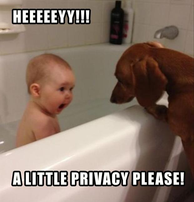 Heeeeeyy!!! A little privacy please! Picture Quote #1