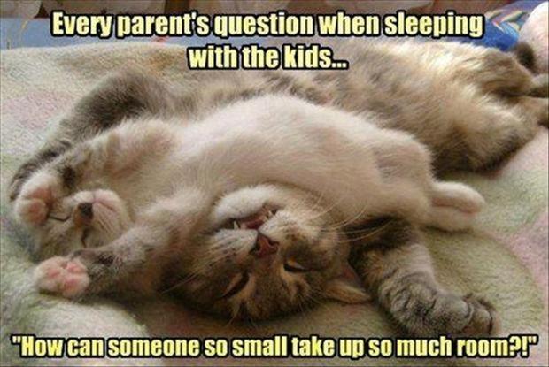 Every parent’s question when sleeping with kids... “How can someone so small take up so much room?!” Picture Quote #1