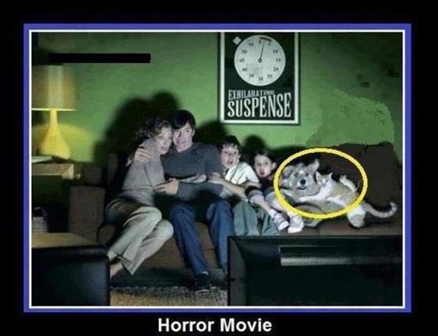 Horror movie Picture Quote #1