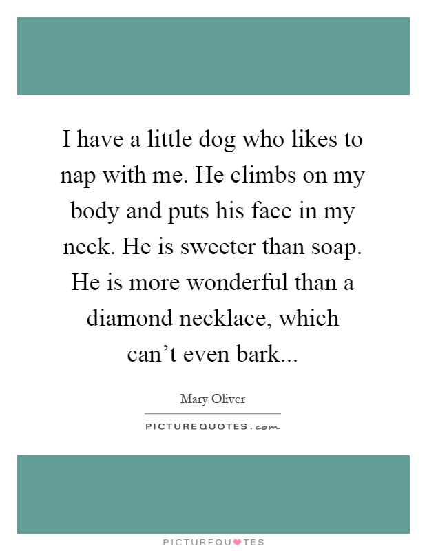 I have a little dog who likes to nap with me. He climbs on my body and puts his face in my neck. He is sweeter than soap. He is more wonderful than a diamond necklace, which can’t even bark Picture Quote #1