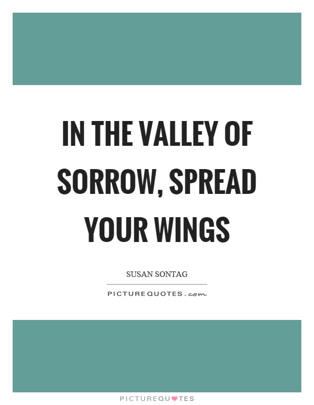 In the valley of sorrow, spread your wings Picture Quote #1