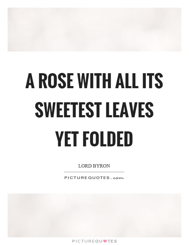 A rose with all its sweetest leaves yet folded Picture Quote #1