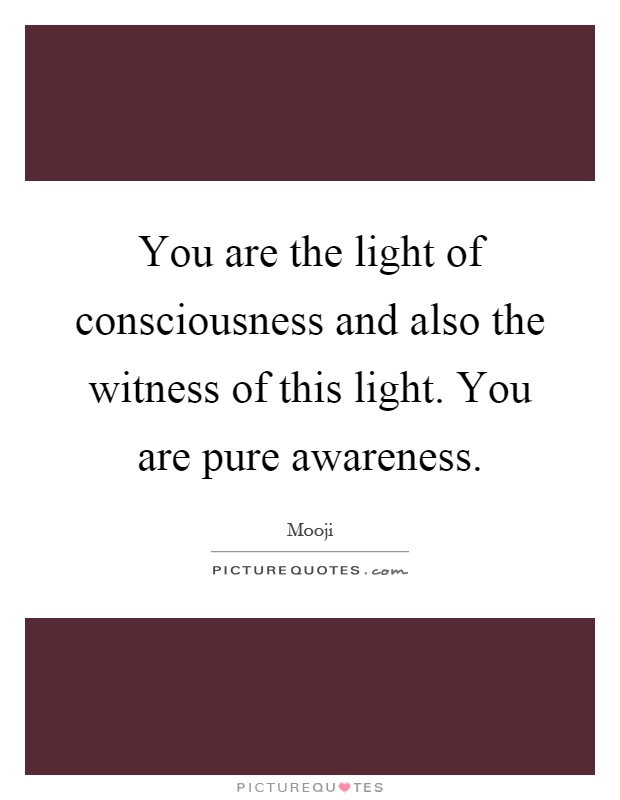 You are the light of consciousness and also the witness of this light. You are pure awareness Picture Quote #1