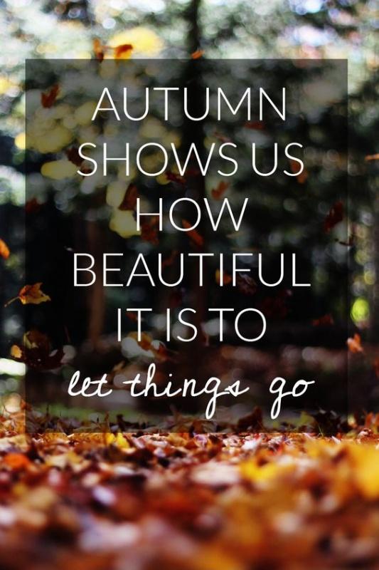 Autumn shows us how beautiful it is to let things go | Picture Quotes