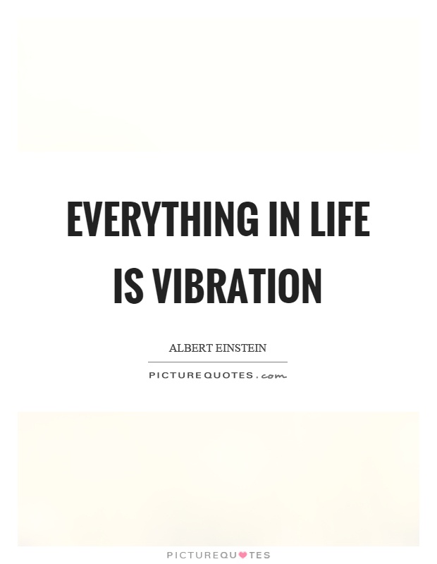 Everything in life is vibration Picture Quote #1