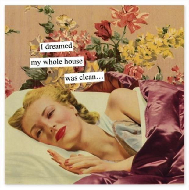 I dreamed my whole house was clean Picture Quote #1