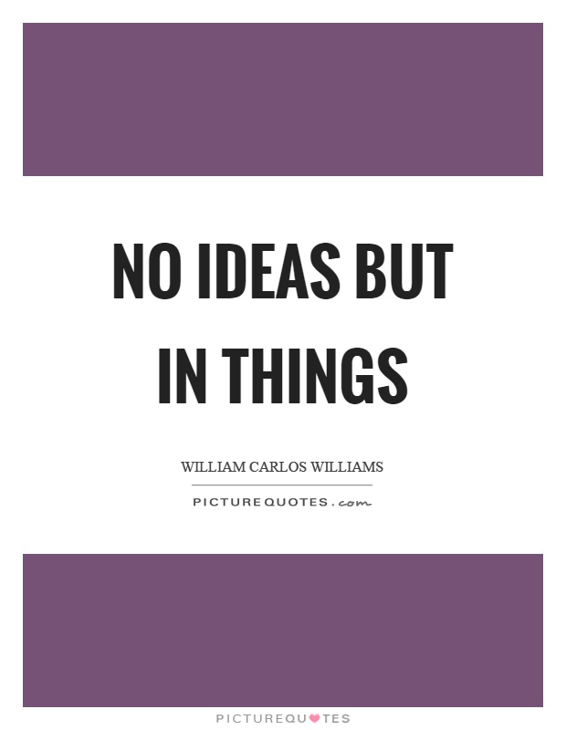 No ideas but in things Picture Quote #1