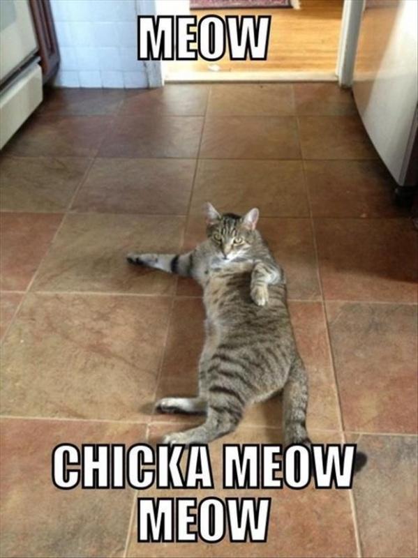 Meow chicka meow meow Picture Quote #1