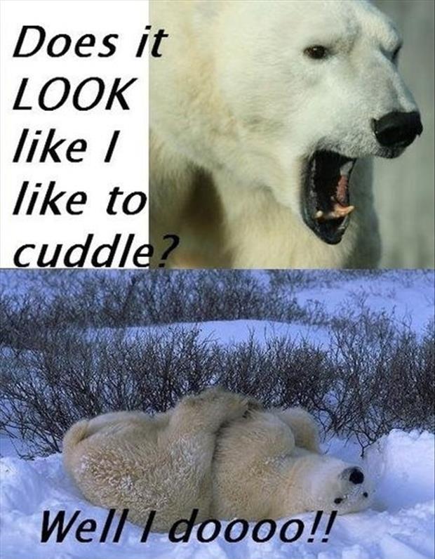 Does it look like I like to cuddle. Well I doooo!! Picture Quote #1
