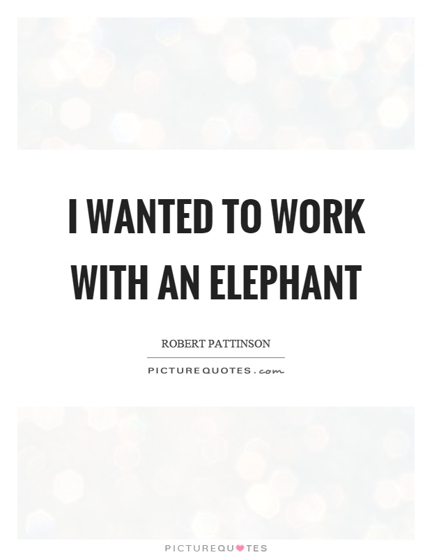 I wanted to work with an elephant Picture Quote #1