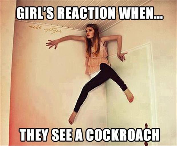 Girl's reaction when they see a cockroach Picture Quote #1