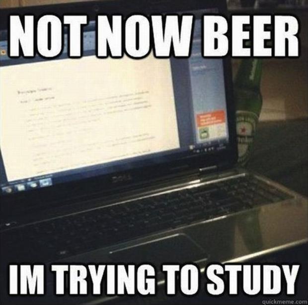 Not now beer, I’m trying to study Picture Quote #1