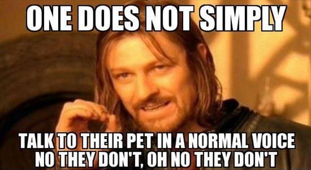 One does not simply talk to their pet in a normal voice. No they don't, oh no they don't Picture Quote #1